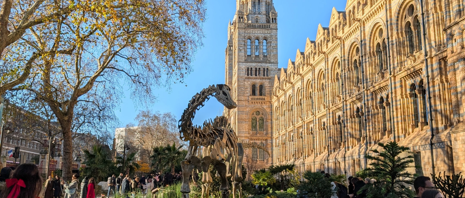 Leading the UX team at NHM