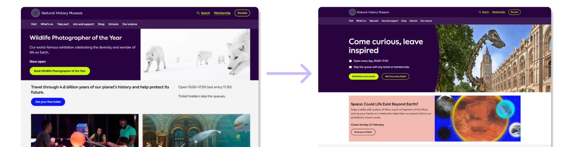 NHM homepage redesign cover