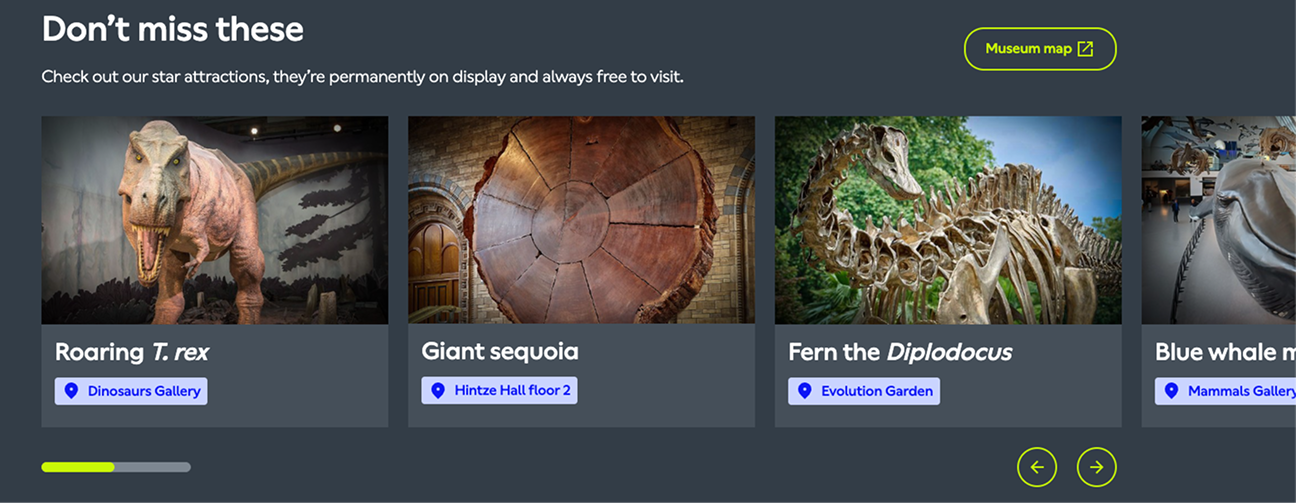 Permanent exhibits highlight reel
