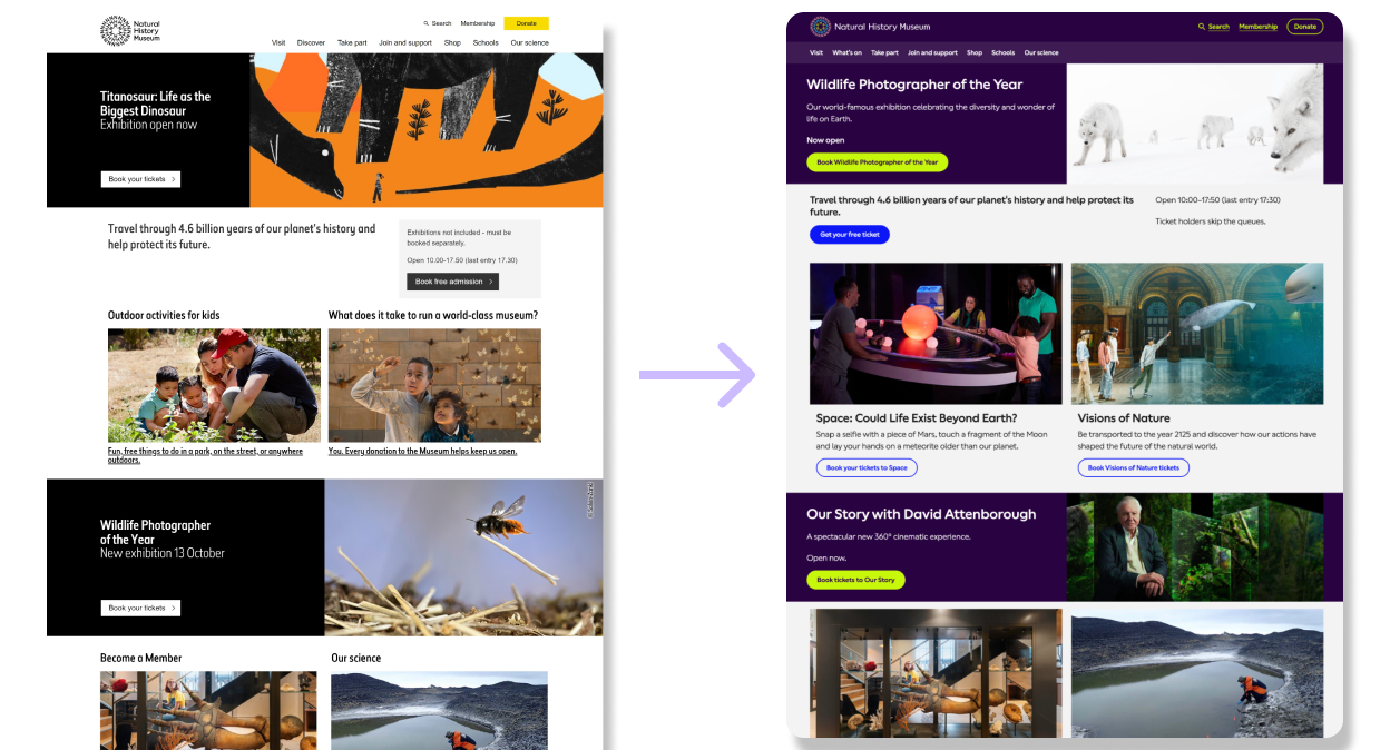Leading website rebrand & building a design system